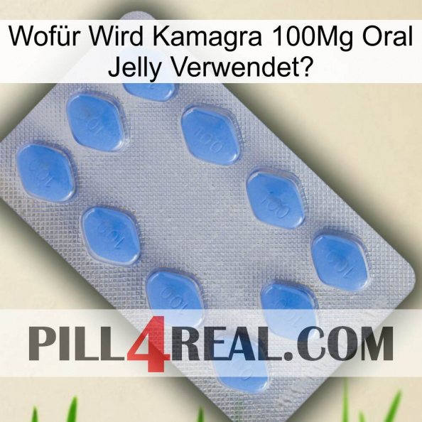 Wofür Wird Kamagra 100Mg Oral Jelly Verwendet 21